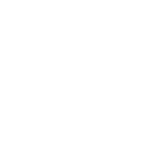 Tire@3x